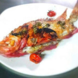 Seashell Comida