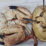 Marisqueira Delicia Nourriture