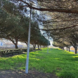 Ribeira De Pardelhas Extérieur