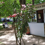 Tasca Do Carril Extérieur