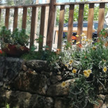 Taberna Das Oliveiras Extérieur