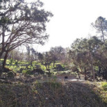 Alferce Kip Piri Piri Exterior