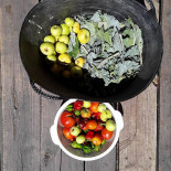 Irie Farm Comida