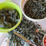 Irie Farm Comida