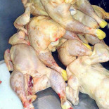 Churrasqueira O Frango Comida