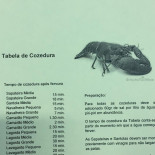 R. Sousa Mariscos Carta