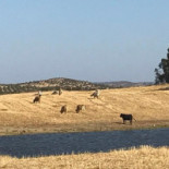 Taberna Guadiana Extérieur