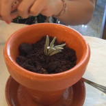 Fininha Nourriture