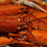Frutos Do Mar Comida