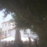 Boutique Da Tuxa Extérieur