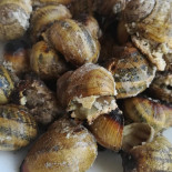 A Barquinha Comida
