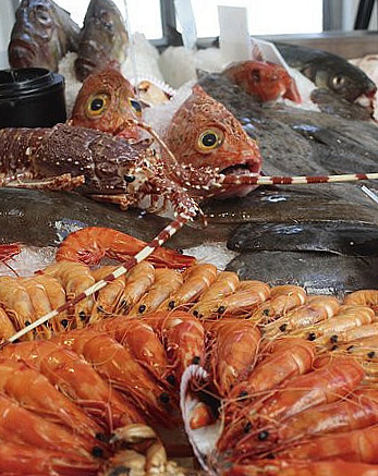 Ostras Coisas Comida