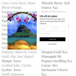 Areias Do Seixo menu