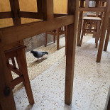 A Merendeira À l'intérieur