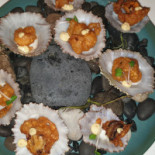 Magma Comida