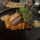 Magma Comida