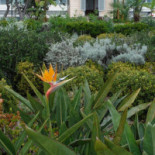 Magic Tea House Exterior