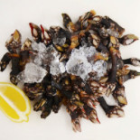 Sab'amar Boisson