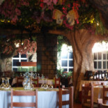 Jungle Rain Cafe À l'intérieur