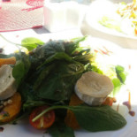 Jan Comida