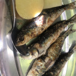 Leitaria Estoril Lda Boisson