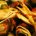A Tendinha food