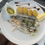 New Fat Frog Nourriture