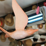 O Pescador Boisson