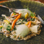 Root Vine Comida