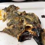 Vila Do Peixe Nourriture