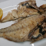 Cafe Janoca Comida