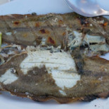 Cafe Janoca Bebida