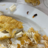 O Manuel Comida