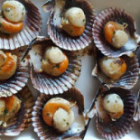 Coisas Da Roça Comida