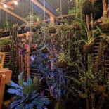 Ar D'aregos Concept Extérieur