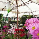 Cafe Oceano Extérieur
