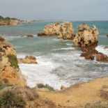 A Sardinha Exterior