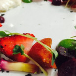 Cibus Alimento Natural Nourriture