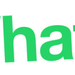 Dom João Pizzas logo