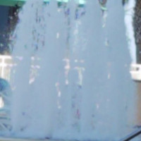 Saladas drink