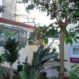 Veg-e-tal Exterior