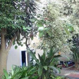 Veg-e-tal Exterior