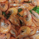 Sempr'assar Comida