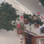 Cafe Central Extérieur