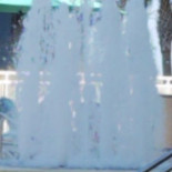 Dom Sancho Vanguarda Boisson