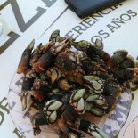 Quatro E Meio Nourriture