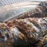 Nova Taberna O Pescador Comida