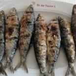 Ze Da Tasca 2 Nourriture