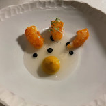 Cura Comida