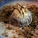 Museu Cafe Petisco Nourriture